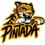 Atlética Pintada fundada em 2026